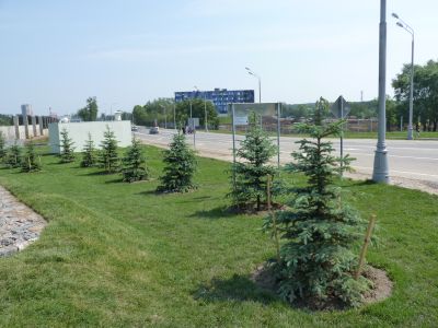 Городское озеленение